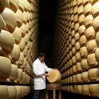 Etichettatura Nutri-Score, dalla mozzarella al pecorino: attacco Ue ai nostri formaggi