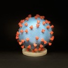 Coronavirus, Nature: «Non è nato in laboratorio, origine naturale»