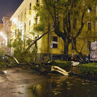 Maltempo a Salerno, cadono alberi tra le luci d'artista