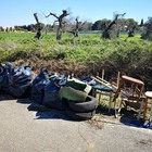 Questa Terra si salva soltanto con il rispetto di tutti Questa Terra si salva soltanto con il rispetto di tutti