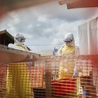 Ebola, tremila casi in Congo: duemila i morti