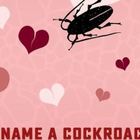 San Valentino, ricorda il tuo ex: dai il nome a uno scarafaggio e fallo mangiare dagli animali dello zoo