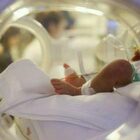 Virus sinciziale, neonati più a rischio. I pediatri: «Picco a Natale, 2 bimbi su 10 colpiti finiscono in ospedale»