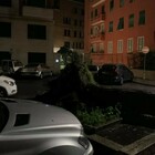 A piazza Bologna crolla un albero di 15 metri