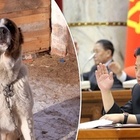 Kim confisca i cani da compagnia: «Rappresentano decadenza occidentale». I proprietari: «Finiranno cucinati al ristorante»