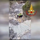 Cane bloccato in montagna recuperato dall'elicottero dei Vigili del fuoco: le immagini delle operazioni di salvataggio