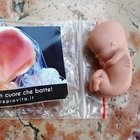 Famiglie, il gadget a forma di feto. Sul cartellino: «L'aborto ferma un cuore che batte»