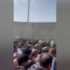 Afghanistan, caos all'aeroporto di Kabul: decine di feriti nella calca