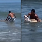 Cattura uno squalo a mani nude davanti agli altri bagnanti: il video incredibile
