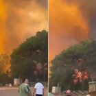 Incendio nel Salento, bagnanti in fuga e caos in spiaggia: masseria evacuata. Prefettura: «Rogo sotto controllo»