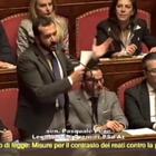 La gaffe del leghista Pepe in Senato: Cesare Battisti diventa Adriano Sofri