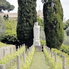 Castel Gandolfo, sradicata la vigna voluta da Papa Benedetto La citazione evangelica