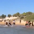 Migranti, in 45 sbarcano sulla spiaggia di Montalbano. Salvini pubblica il video: «Senza parole»