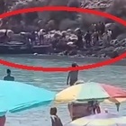 Migranti, lo sbarco a Lampedusa: in 26 arrivano tra i turisti all'Isola dei Conigli VIDEO