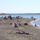 Assaggio d'estate, spiagge affollate: primi bagni al mare dalla Puglia alla Liguria. Folla sul litorale romano VIDEO