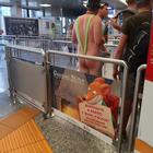 Nudo in coda all'aeroporto di Malpensa: interviene la polizia FOTO CHOC