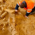 FAKE: Scoperto in Australia un antico scheletro umano alto 5 metri