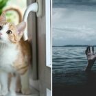 «Il mio fidanzato salvarebbe il nostro gatto e non uno sconosciuto, se stessero affogando entrambi: non rispetta la vita umana»