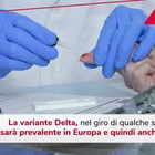 Speranza: "Variante Delta sarà prevalente in Europa e in Italia"