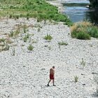Siccità record: stop notturno all'acqua e razionamenti, trattori-idrovore per salvare l'agricoltura in ginocchio. Stato di calamità per il Lazio