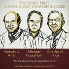 Nobel per la medicina, il premio agli scienziati che hanno «scoperto il virus dell'epatite C»