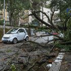 Roma, alberi a rischio crollo. E metà dei giardinieri è esentato dalla potatura
