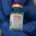 Vaccino, studio di Moderna: «Gli anticorpi persistono 6 mesi dopo la seconda dose»