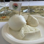 immagine Mozzarella Dop, l’Osservatorio Economico 2024: focus sul “duello” Italia-Francia su formaggi e Bufala Campana