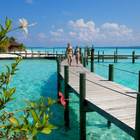 Libraio per un'isola delle Maldive: ecco i requisiti per il lavoro dei sogni