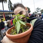 Spinelli giganti e piantine sotto braccio: a Roma sfila il corteo per la marijuana libera