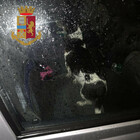Cane dimanticato in auto tutta la sera, liberato da un agente fuori servizio. Denunciata la proprietaria