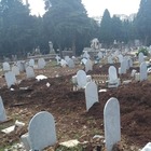 Assalto dei cinghiali nel cimitero: lapidi abbattute e fosse tra le tombe