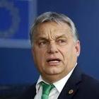 Fico: «La Ue sanzioni Orban se rifiuta le quote»