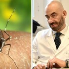 Boom di zanzare, l'allarme di Bassetti: «Alto rischio di malattie infettive, anche gravi come la malaria»