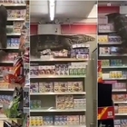 Thailandia, al supermercato spunta un drago di Komodo (di 2 metri)
