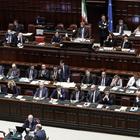 Xylella, Ilva e Tap: le dure repliche di quando si governa Xylella, Ilva e Tap: le dure repliche di quando si governa