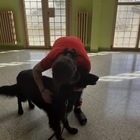 Più di un anno in carcere senza ricevere visite: a sorpresa l'abbraccio con il suo cane Zair