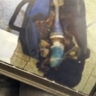 Parigi, Gare du Nord evacuata: «Trovato ordigno in una borsa»