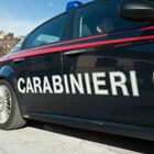 Uccide il fratello a martellate, poi va dai carabinieri: l'omicidio dopo la lite nell'azienda di famiglia