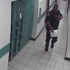Nel corridoio c'è qualcosa di terrificante: il poliziotto fugge a gambe levate