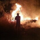 Incendi, brucia il sud Italia: roghi ancora attivi in Calabria e Sicilia. Canadair in arrivo dalla Francia