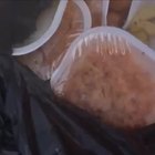 Roma, il cibo per i migranti gettato nell'immondizia: video scandalo davanti al centro d'accoglienza