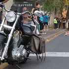 Pedone travolto da una moto in viale Jenner a Milano: è in coma al Niguarda