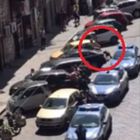 Pitbull aizzato morde poliziotto in strada a Napoli, un altro agente spara e lo uccide