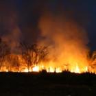 L'Amazzonia continua a bruciare: le impressionanti immagini notturne dei roghi