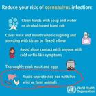 FAKE Per evitare l'infezione da coronavirus l'Oms suggerisce rapporti sessuali protetti con gli animali