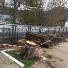 Maltempo a Nettuno, Anzio e Castelli: frane, allagamenti, strage di alberi