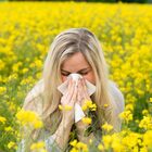 Allergie, nuovi mix di pollini nell'aria 
