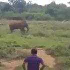 Cerca di ipnotizzare un elefante, ma viene calpestato e ucciso. L'orrore in un video choc