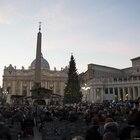 L'albero di Natale del Papa arriva dall'Abruzzo, ma il taglio dell'abete è top secret per depistare gli ecologisti